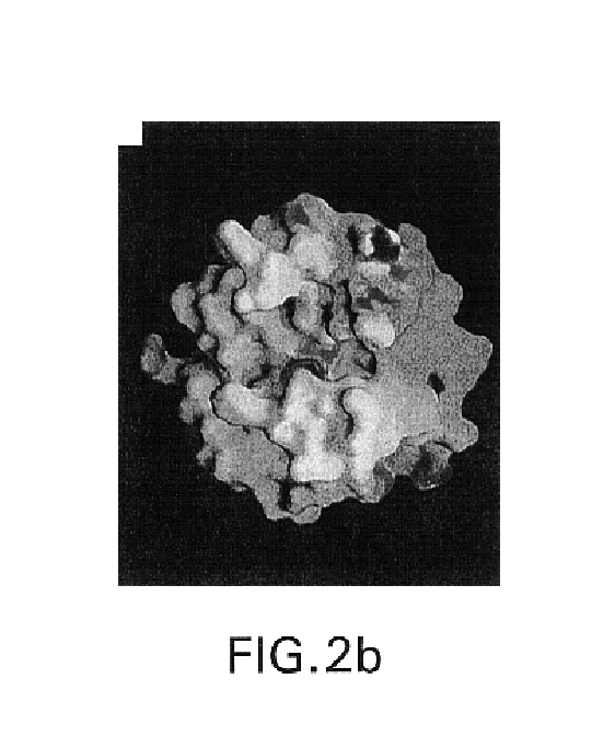 Crystalline TNF-α-converting enzyme and uses thereof