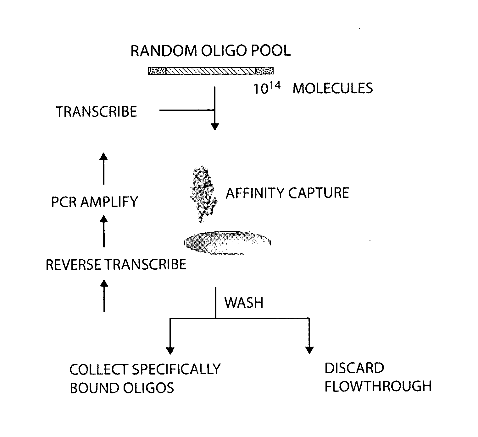 Materials and methods for the generation of transcripts comprising modified nucleotides