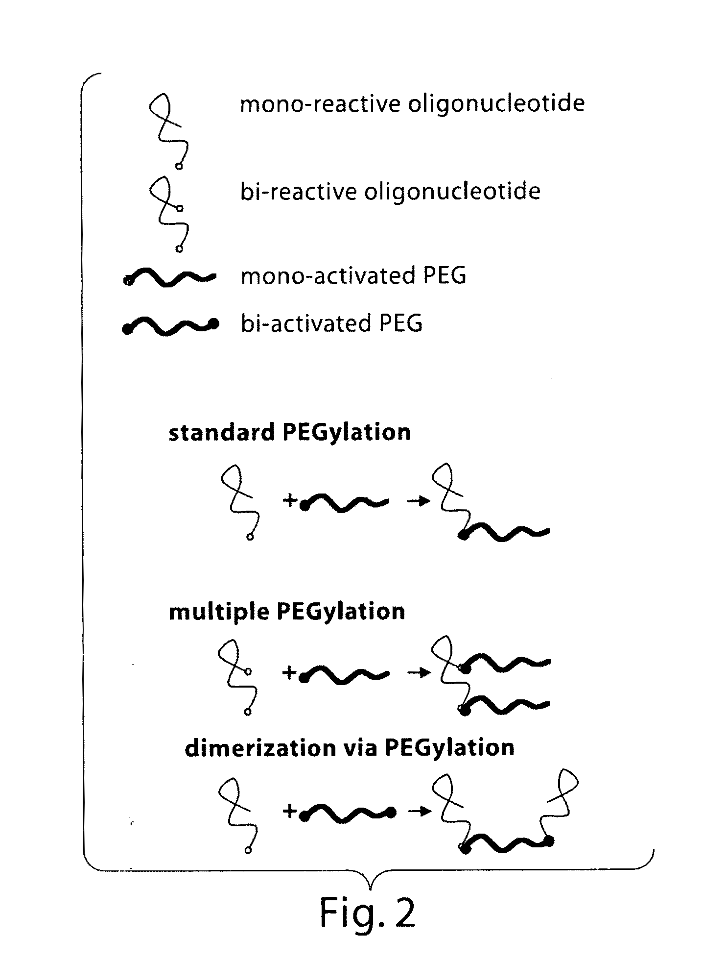 Materials and methods for the generation of transcripts comprising modified nucleotides