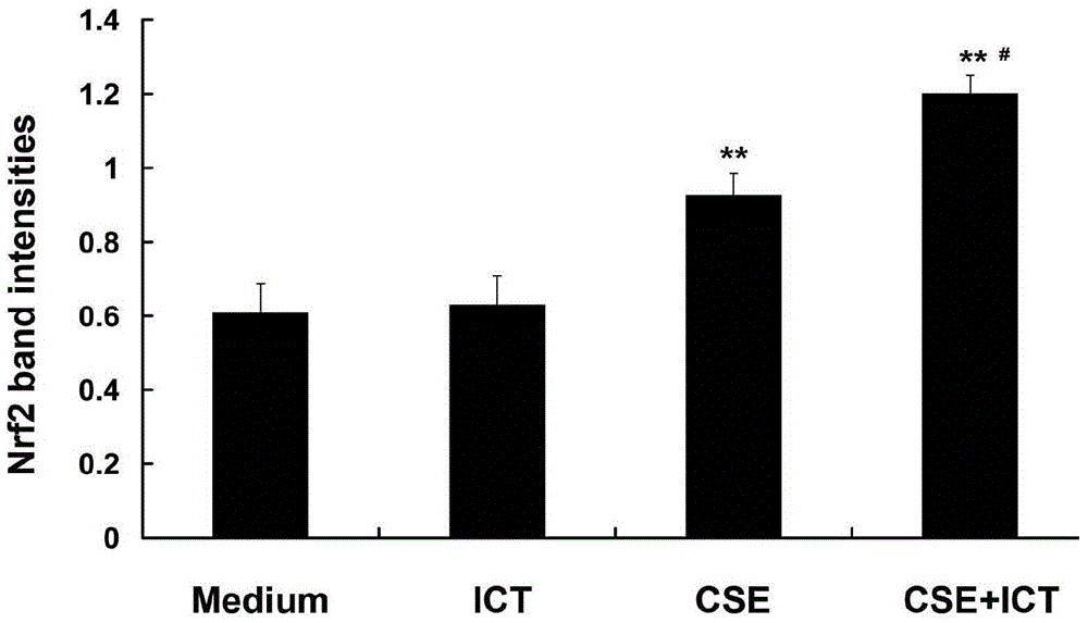 Application of icaritin in preparation of Nrf2 agonist