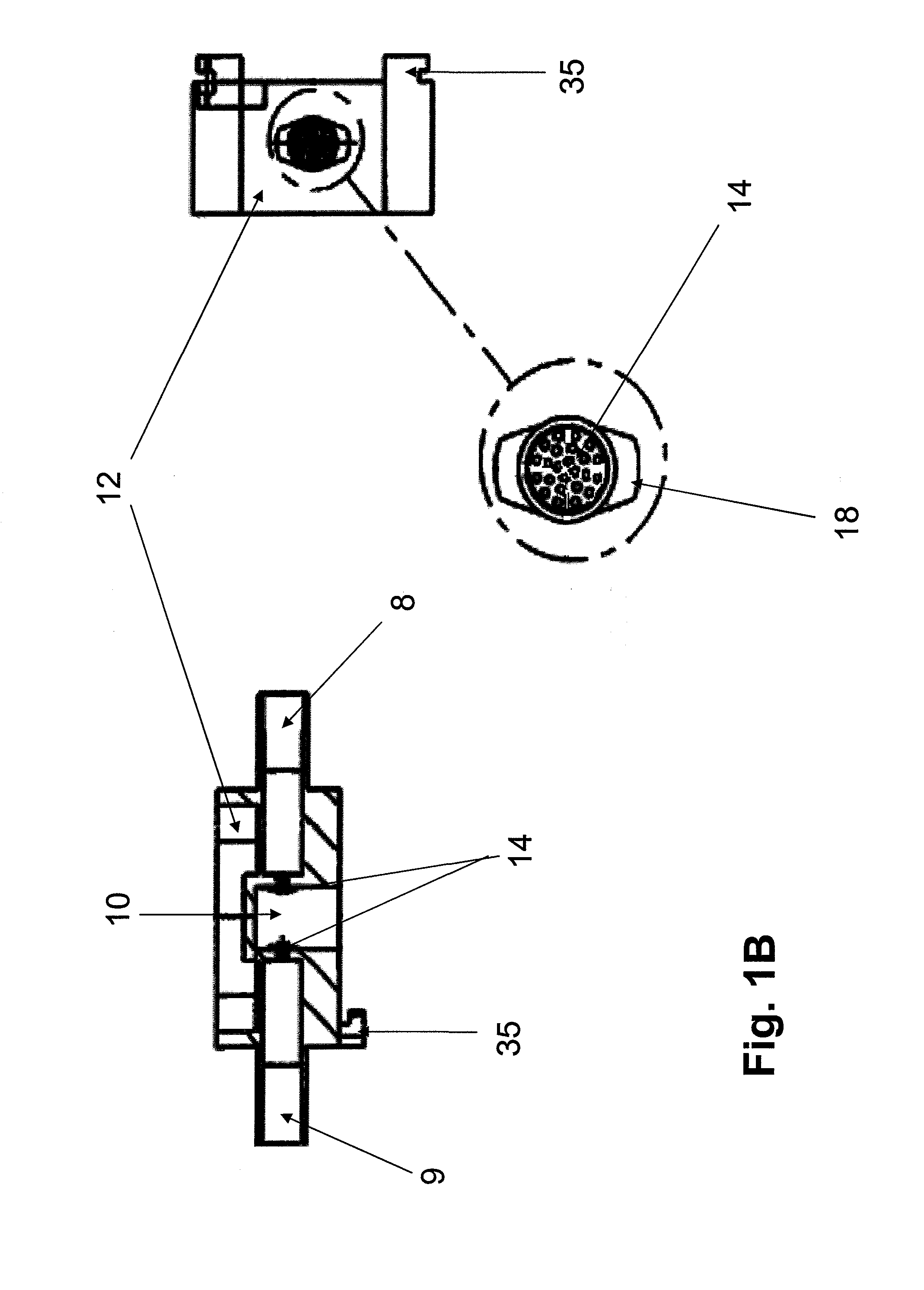 Co-culture bioreactor system