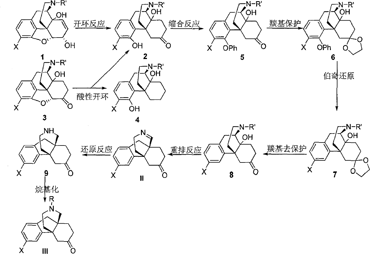 Propellane compounds, preparation method and application thereof