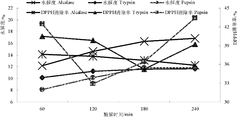 Method for preparing antioxidant peptides from oats by utilizing enzymatic membrane reactor