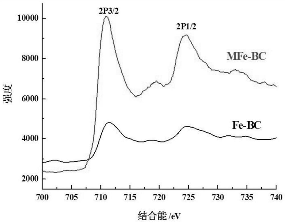 a magnetic fe  <sub>3</sub> o  <sub>4</sub> /Biochar adsorbents and applications