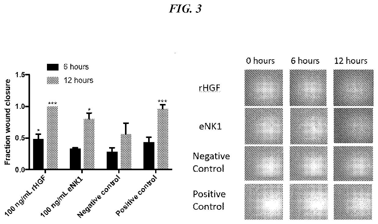 Methods of ocular treatment using an engineered dimeric fragment of hepatocyte growth factor