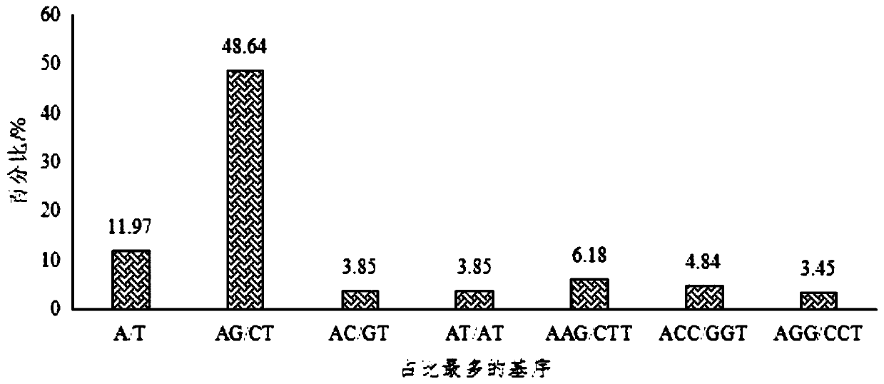 Common camellia oleifera SSR molecular marker primers and marking method and application thereof
