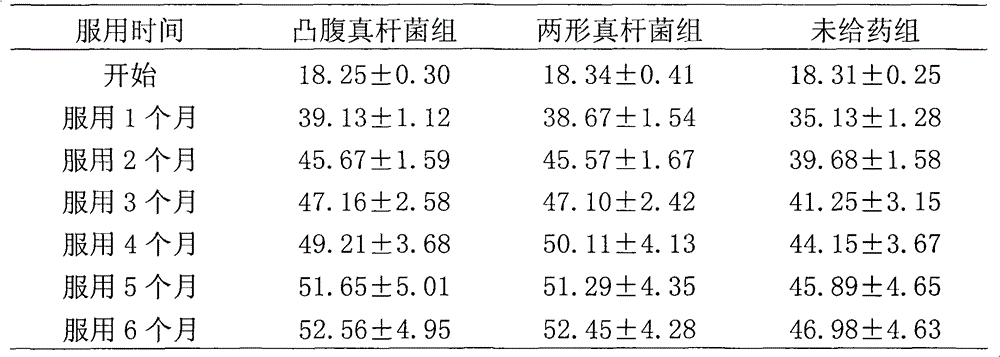 Eubacterium biforme preparation and use thereof