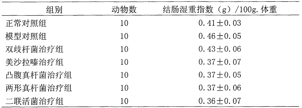 Eubacterium biforme preparation and use thereof