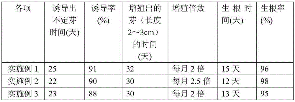 A kind of rapid propagation method of passeng vine