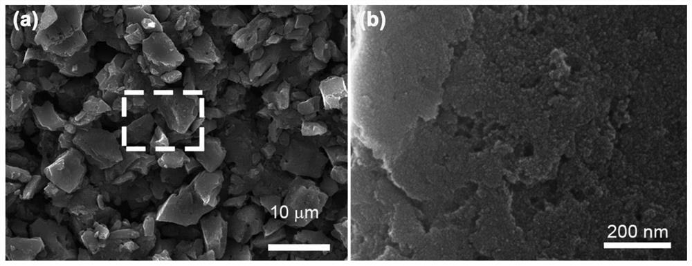 A kind of water-based zinc ion secondary battery and its positive electrode preparation method based on organic electrode material
