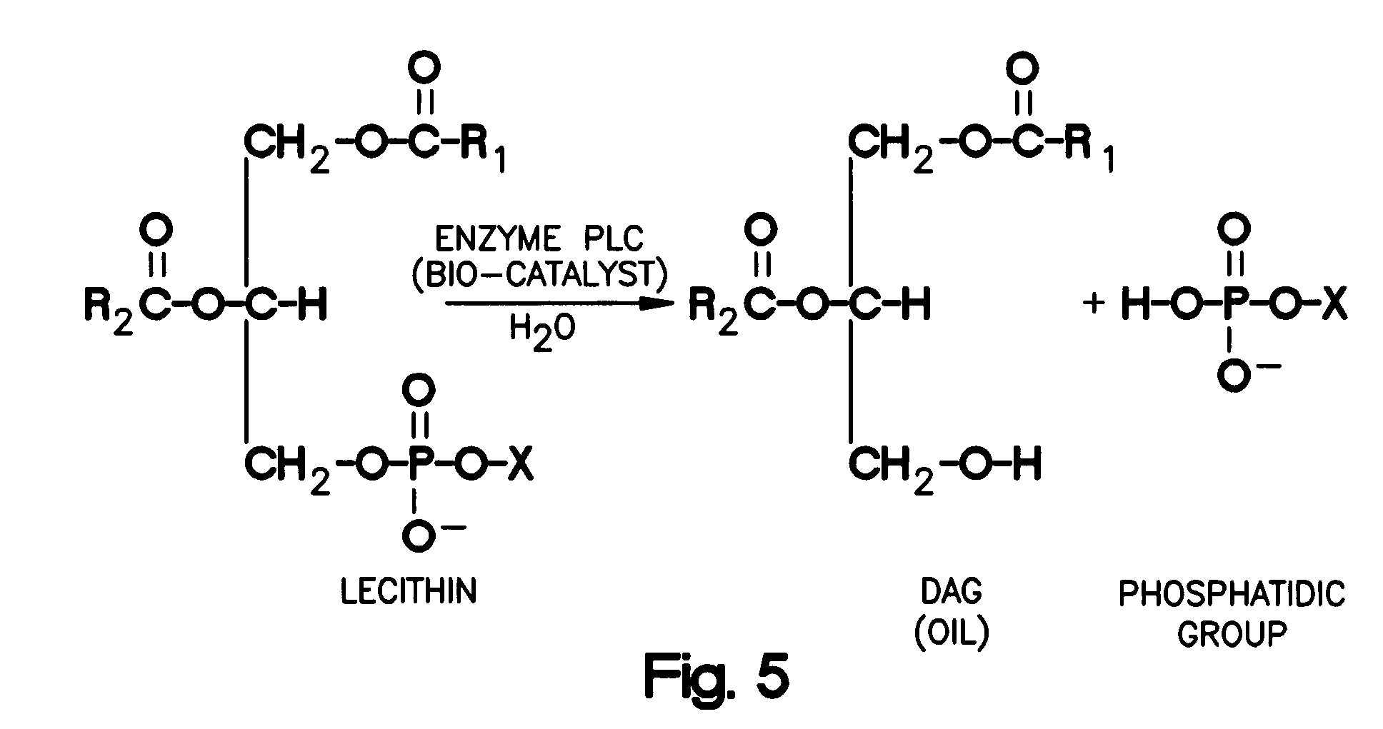 Enzymatic degumming utilizing a mixture of PLA and PLC phospholipases
