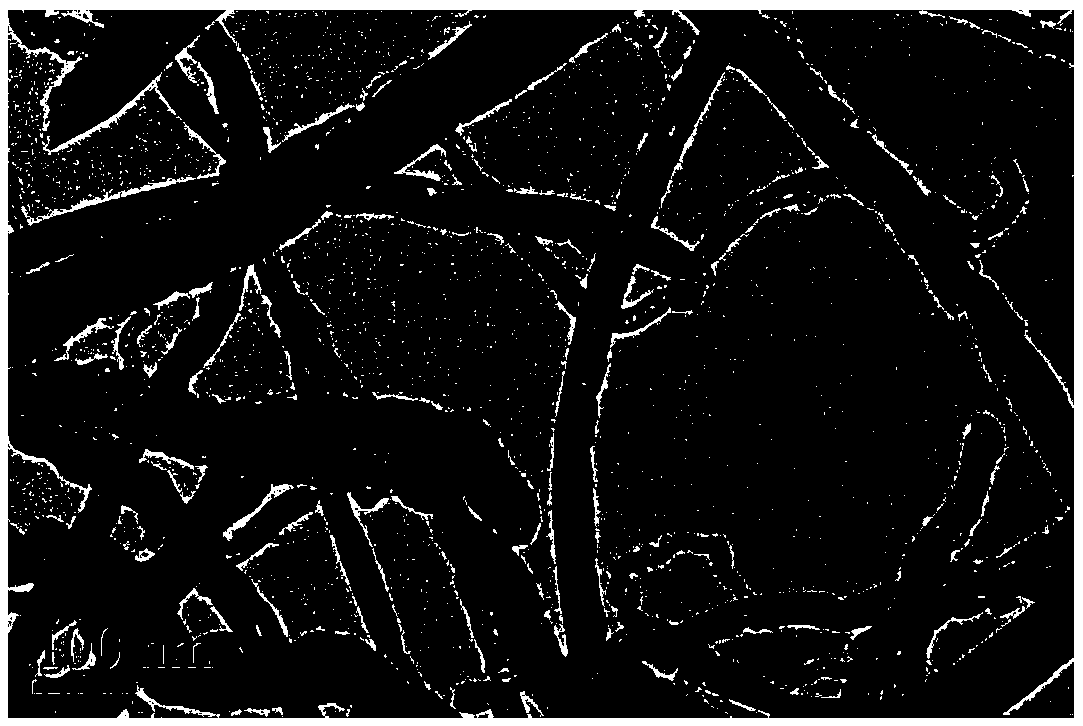 One-step method for preparing cnts/fe nanocomposite