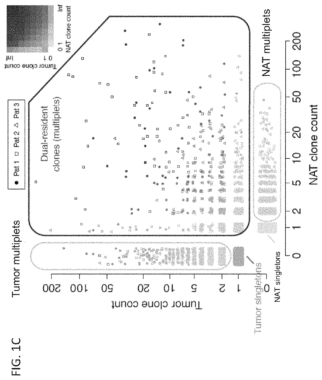 Diagnostic methods and compositions for cancer immunotherapy