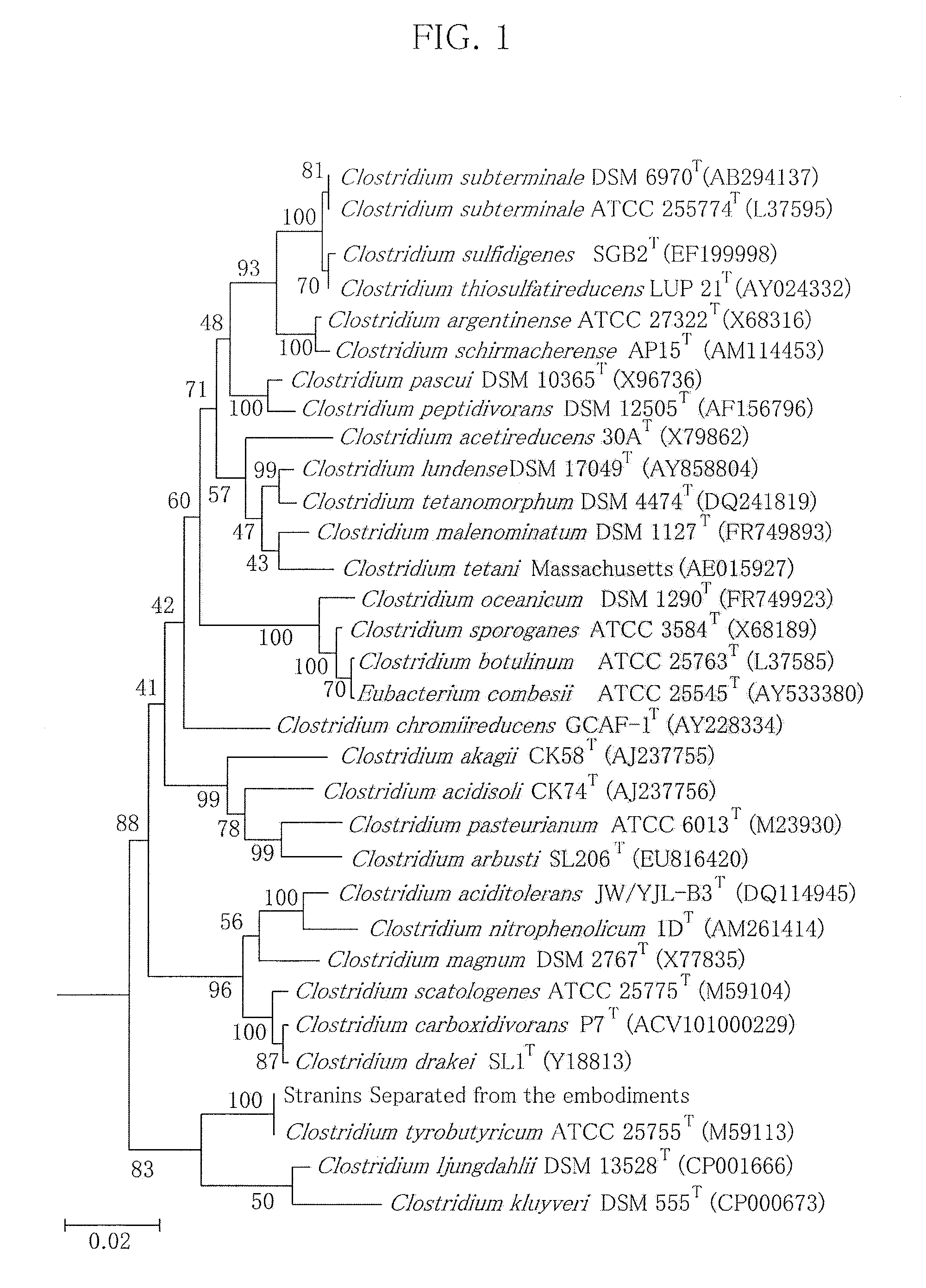 Method for enhancing butyrate production by clostridium tyrobutyricum