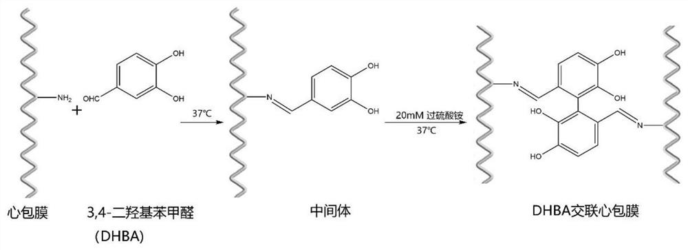 Biovalve crosslinking method for improving mechanical and anticoagulation properties