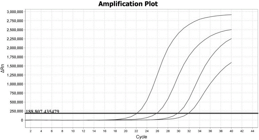 Specific primer and probe combination and reagent kit for fluorescent quantitative PCR (polymerase chain reaction) detection on 15 types of HPV (human papillomavirus)