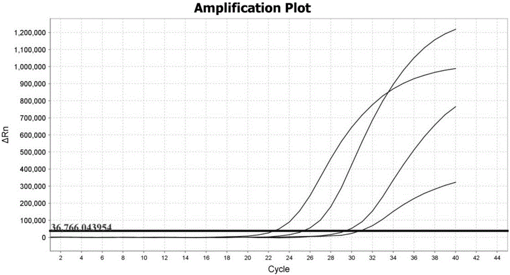 Specific primer and probe combination and reagent kit for fluorescent quantitative PCR (polymerase chain reaction) detection on 15 types of HPV (human papillomavirus)