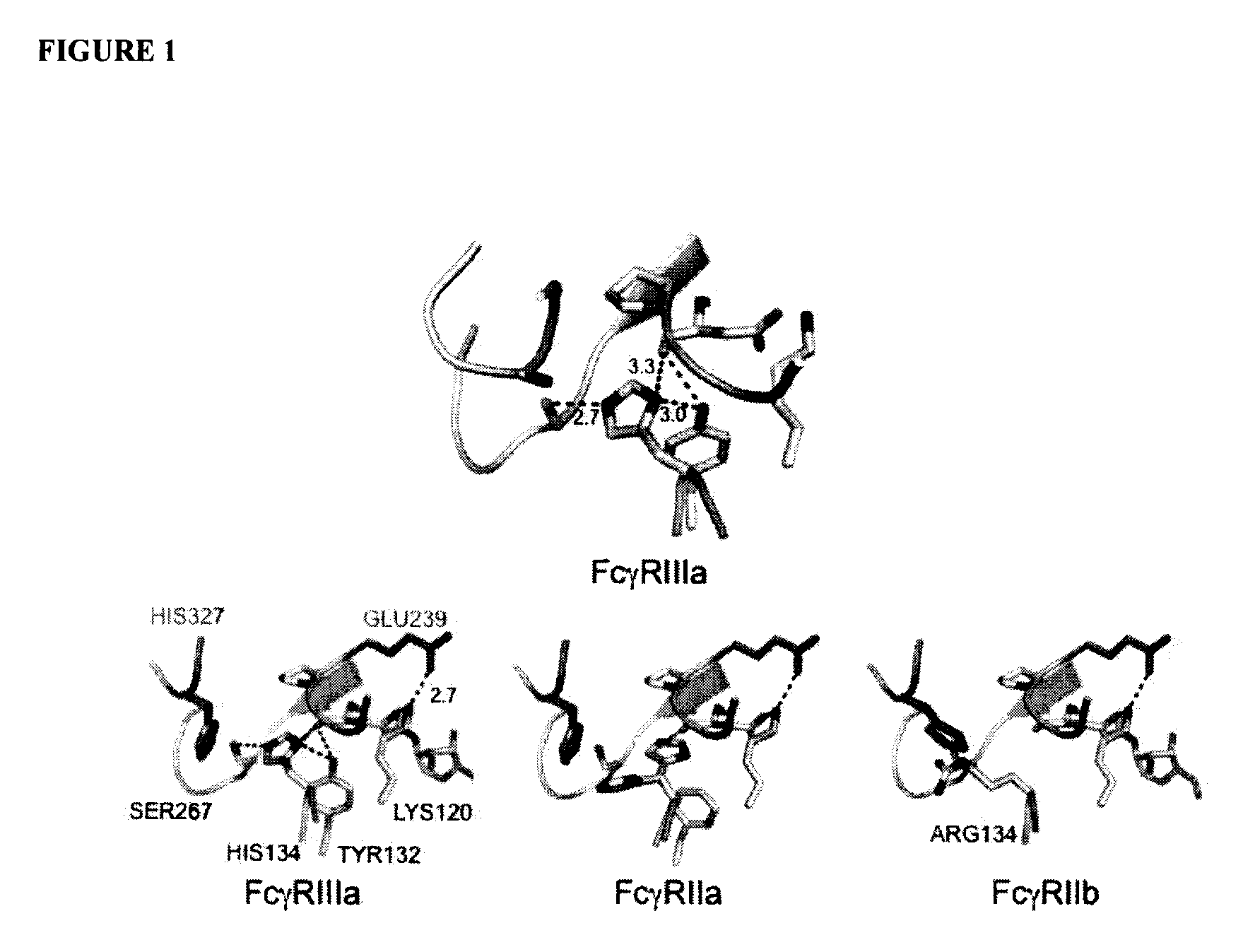 Antibodies with enhanced or suppressed effector function