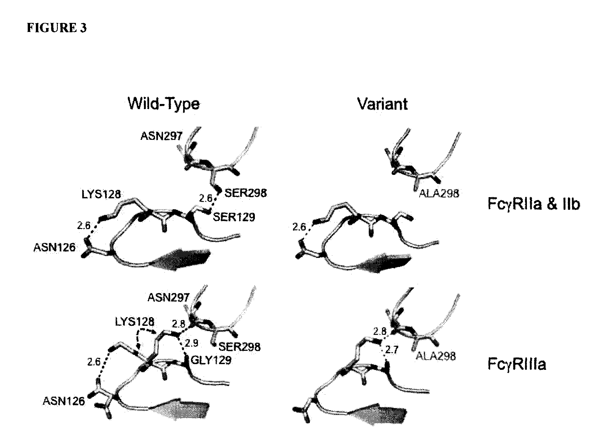 Antibodies with enhanced or suppressed effector function