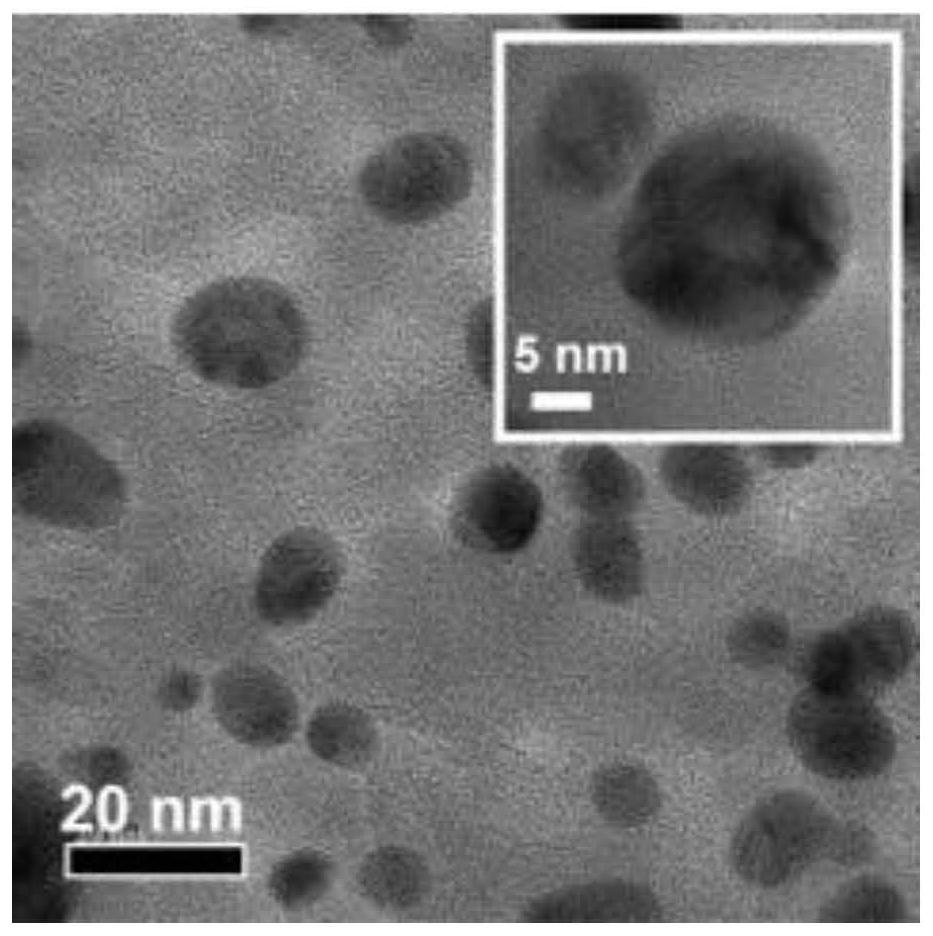 A kind of nano enzyme and its preparation method for the detection of food antioxidant activity