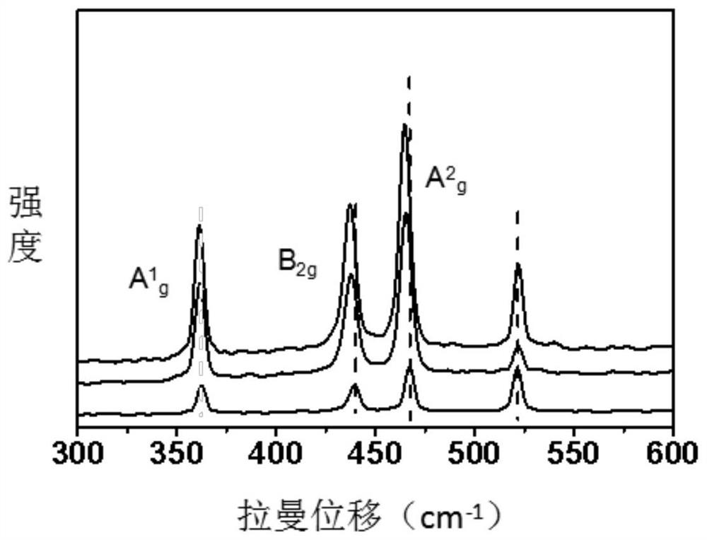 A kind of passivated black phosphorus material and its preparation method and application