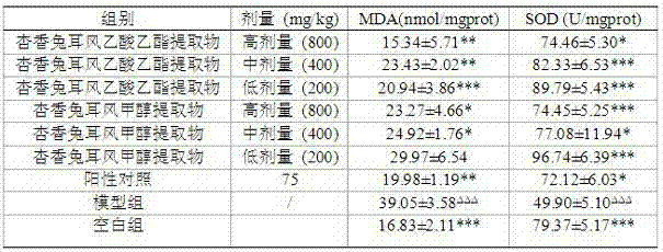 Ainsliaea fragrans champ extract, extraction method and application thereof