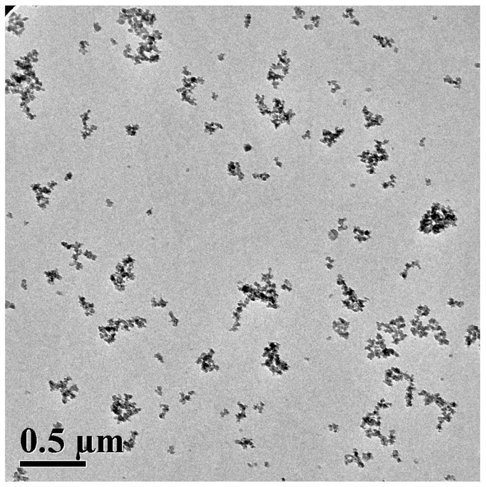 Silica nanoparticles grafted with organic functional molecules and its preparation method and application