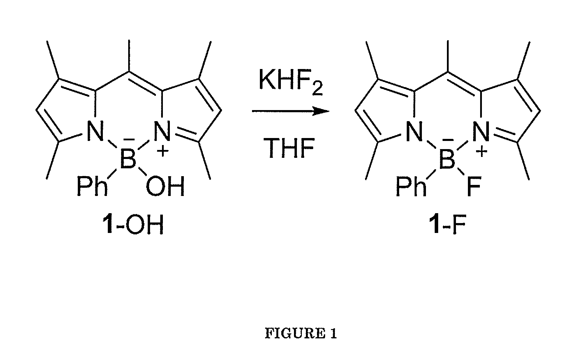 Boron-Based Dual Imaging Probes, Compositions and Methods for Rapid Aqueous F-18 Labeling, and Imaging Methods Using Same