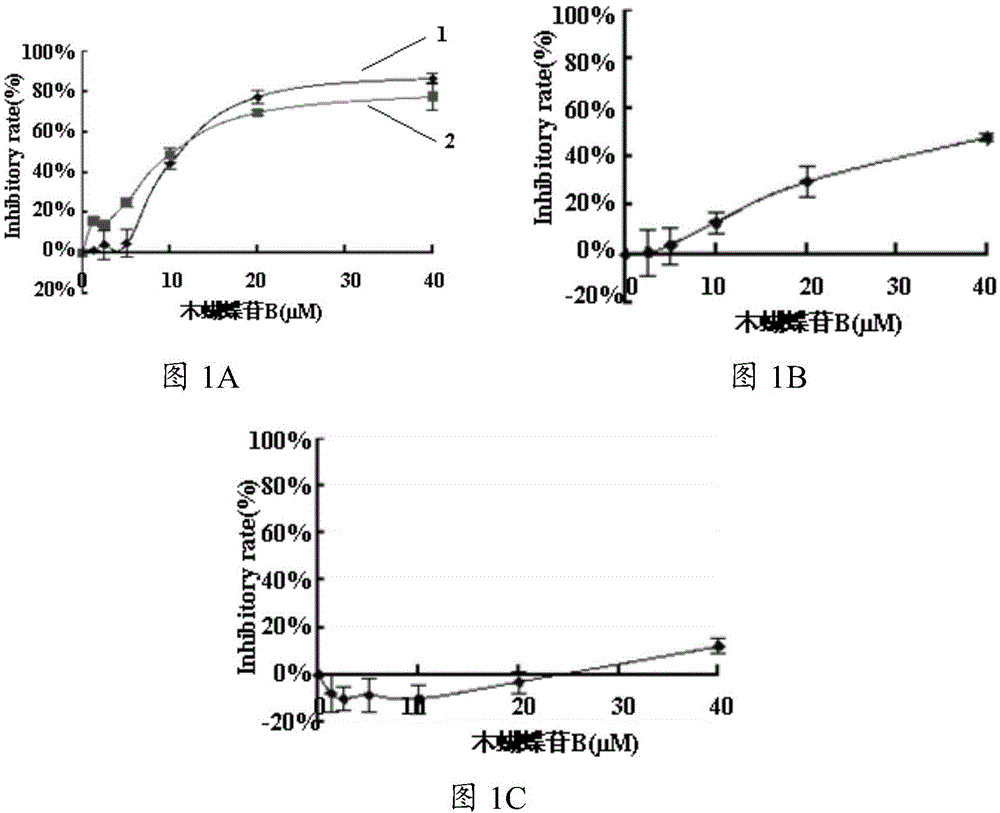 Application of oroxin B and drug containing oroxin B