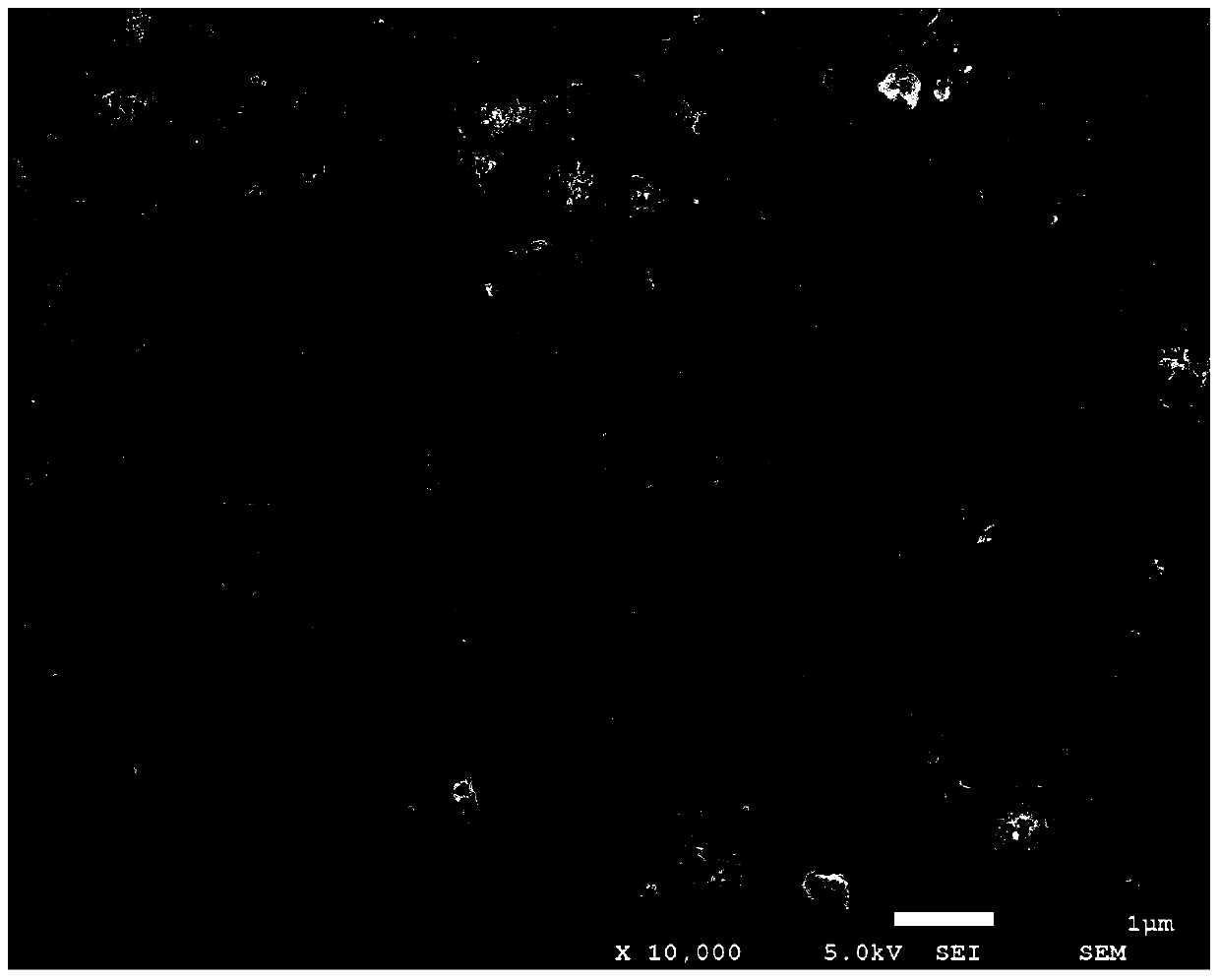 A kind of highly active molybdenum sulfide thin film electrocatalyst and preparation method thereof