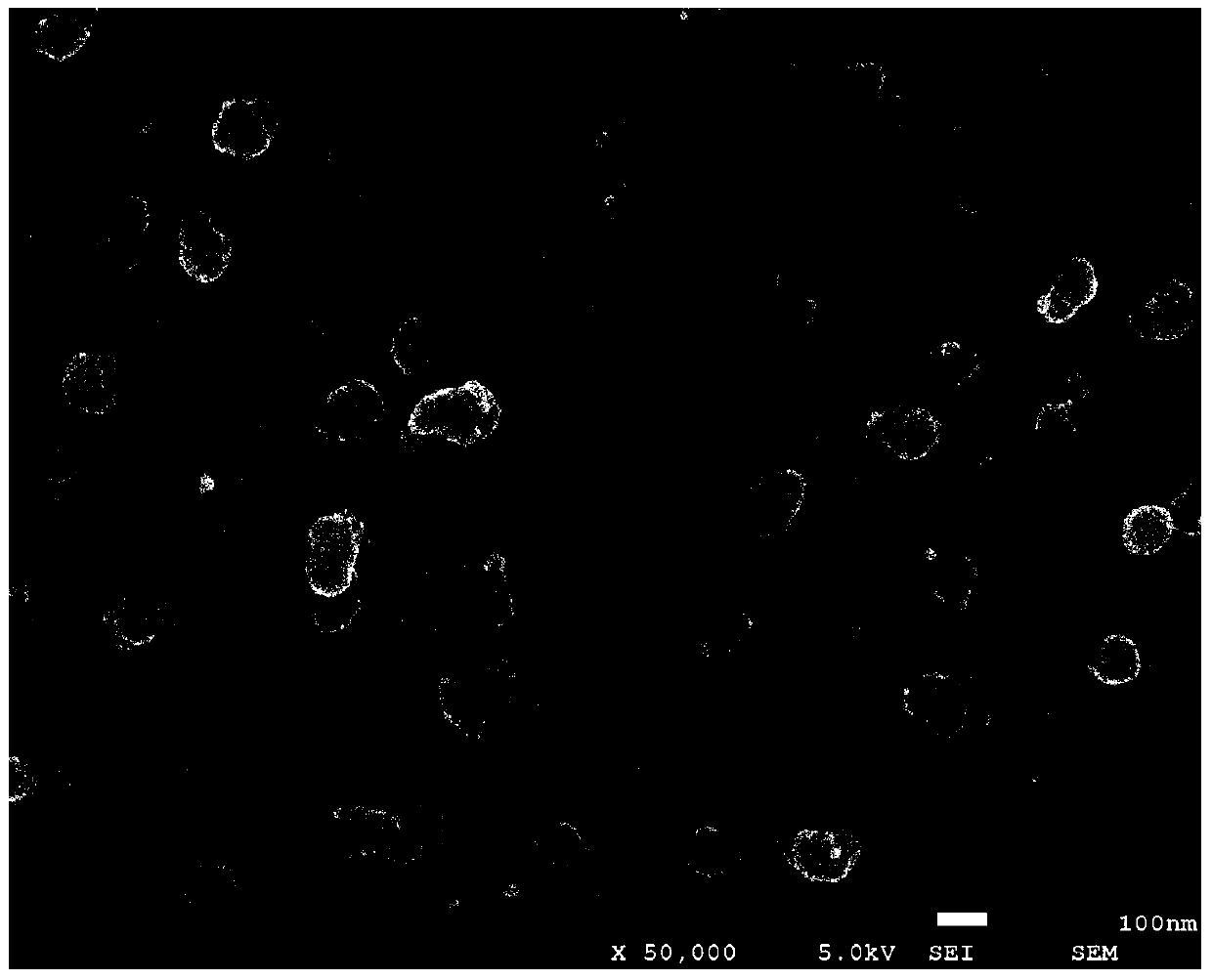 A kind of highly active molybdenum sulfide thin film electrocatalyst and preparation method thereof