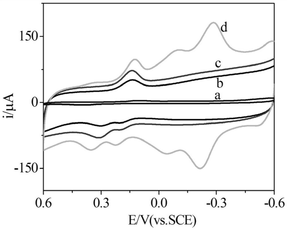 Application of nitrogen-doped graphene-thionine-gold nanoelectrochemical sensor