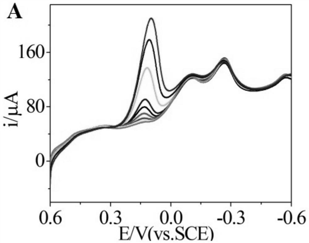 Application of nitrogen-doped graphene-thionine-gold nanoelectrochemical sensor