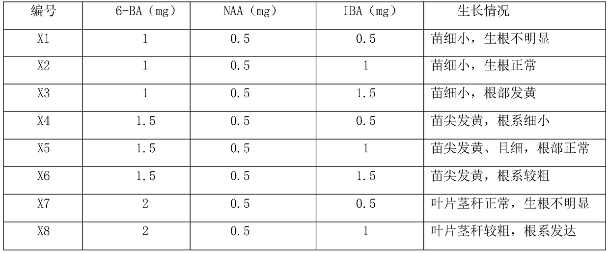 Tissue culture solution of hemsleya amabilis and culture method thereof