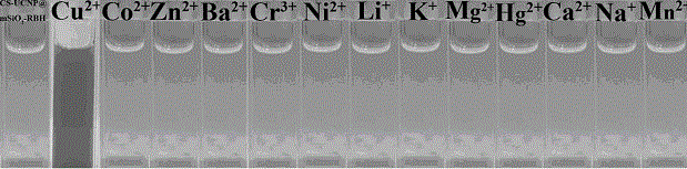 Nano probe for copper ion fluorescence imaging in cells and preparation method for nano probe