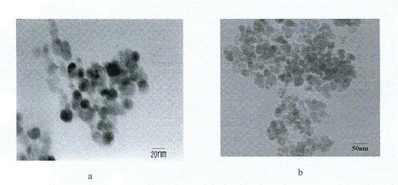 Beta-cyclodextrin functionalized Fe3O4 magnetic nanometer adsorbent and use thereof