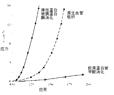 Biocompatible fiber composite non-woven net felt and preparation method and application thereof