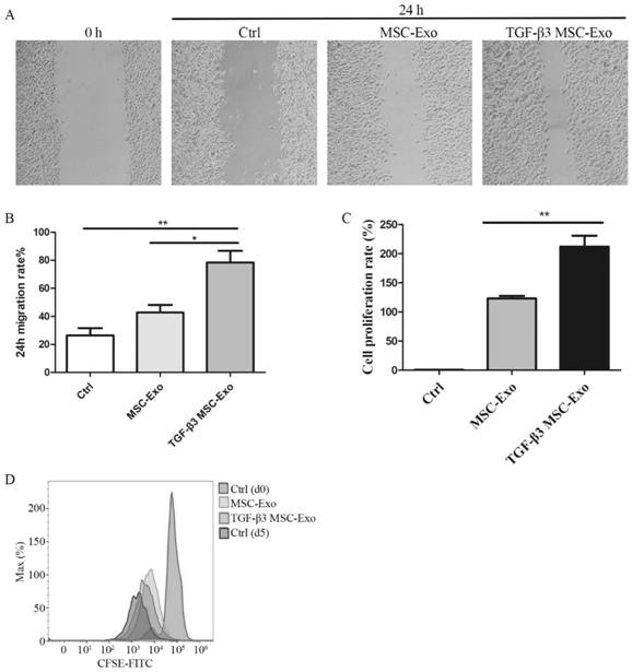 TGF-beta3 mesenchymal stem cell exosome and preparation method and application thereof