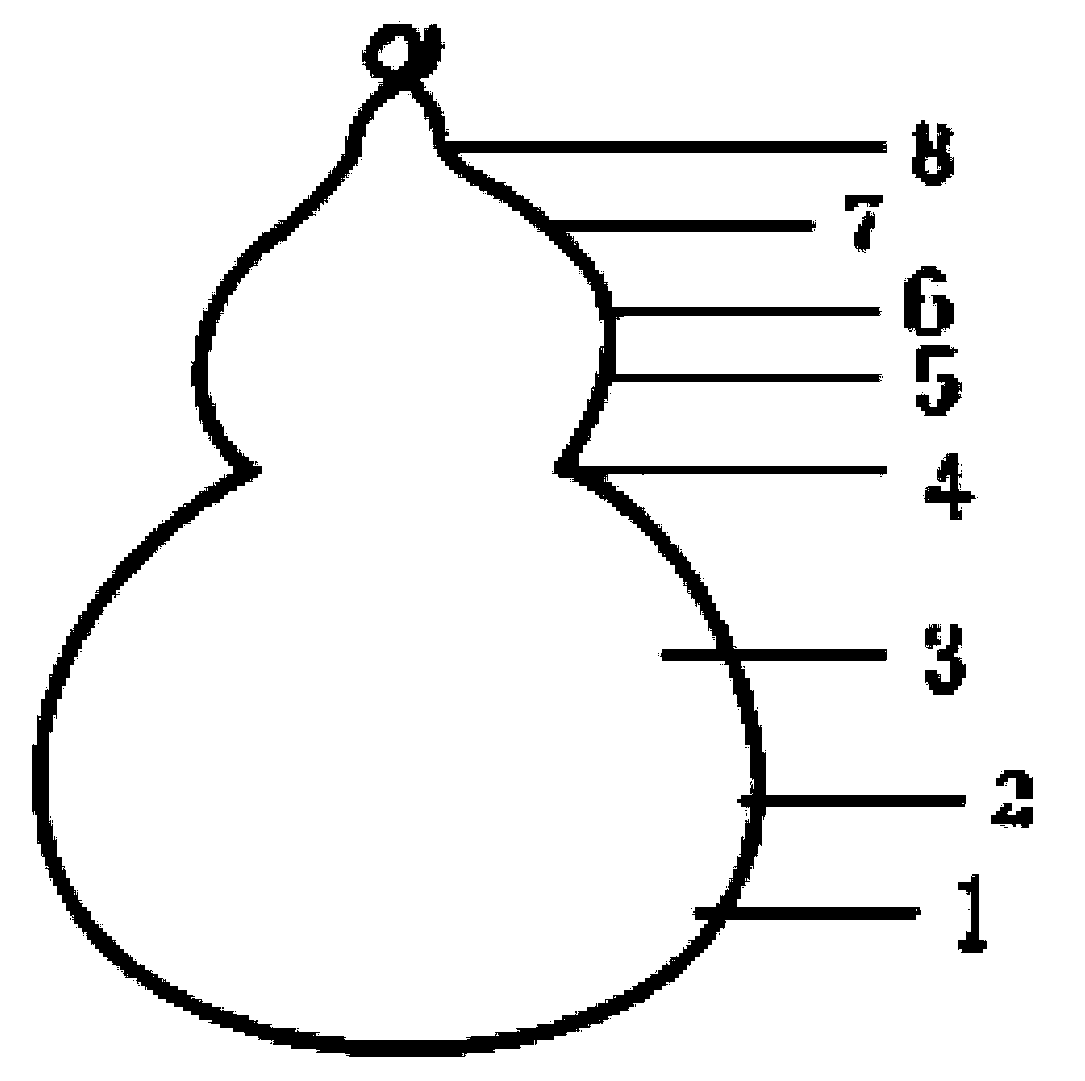 A kind of cultivation method of weaving shape bonsai tree