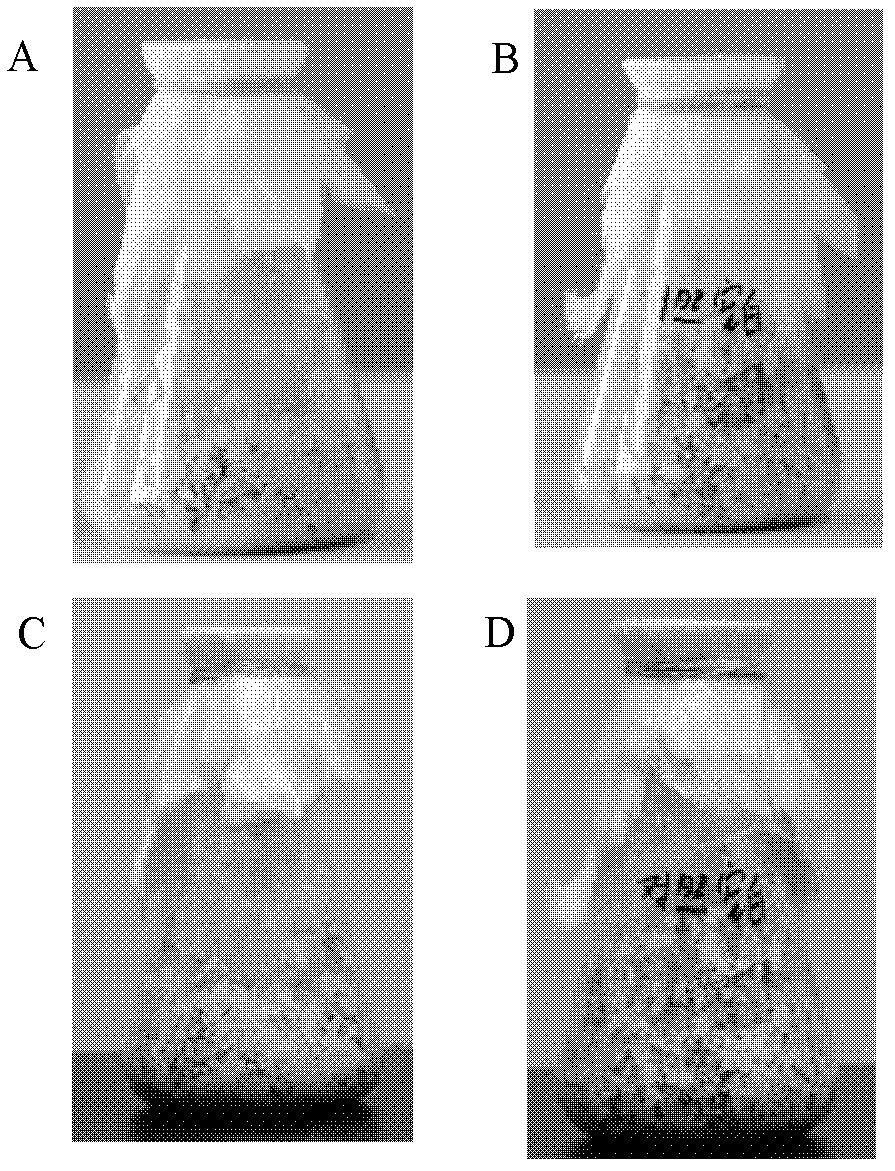 Formula feed for chickens and preparation method thereof