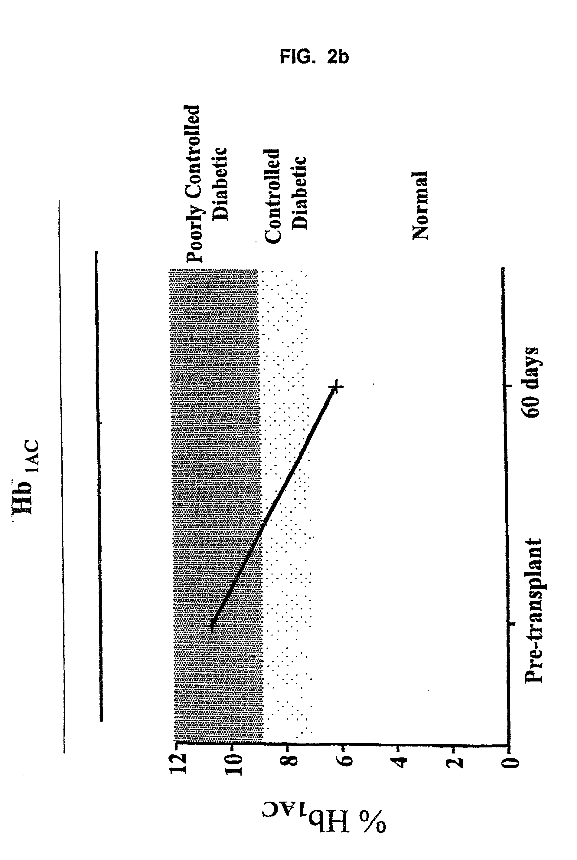 Use of immunotoxins to induce immune tolerance to pancreatic islet transplantation