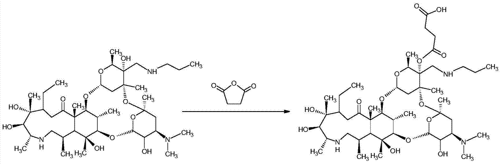 A kind of synthetic method of hapten and complete antigen of telamycin