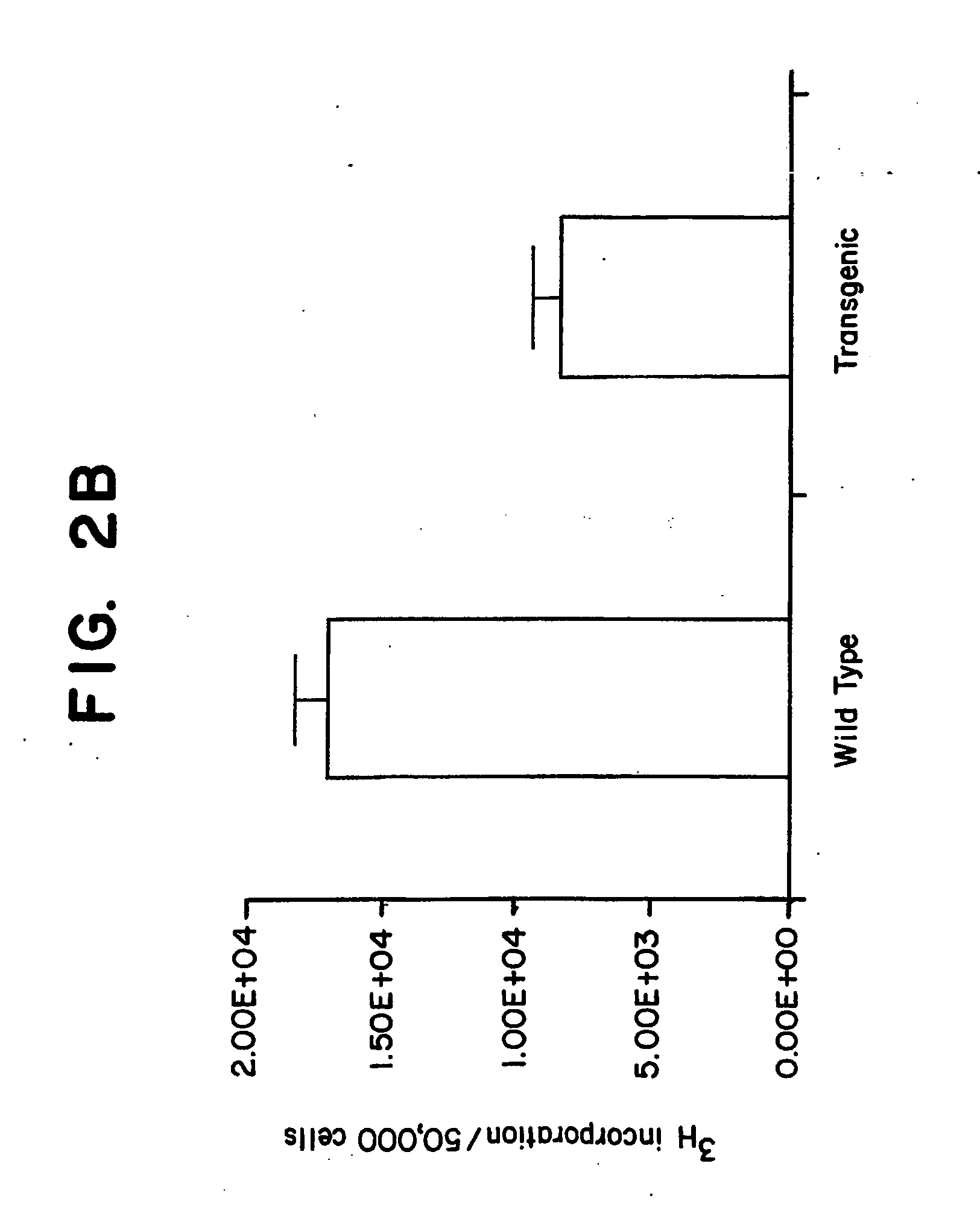 Kruppel-like factor 6 ( KLF6), a tumor suppressor protein, and diagnostics, therapeutics, and screening based on this protein