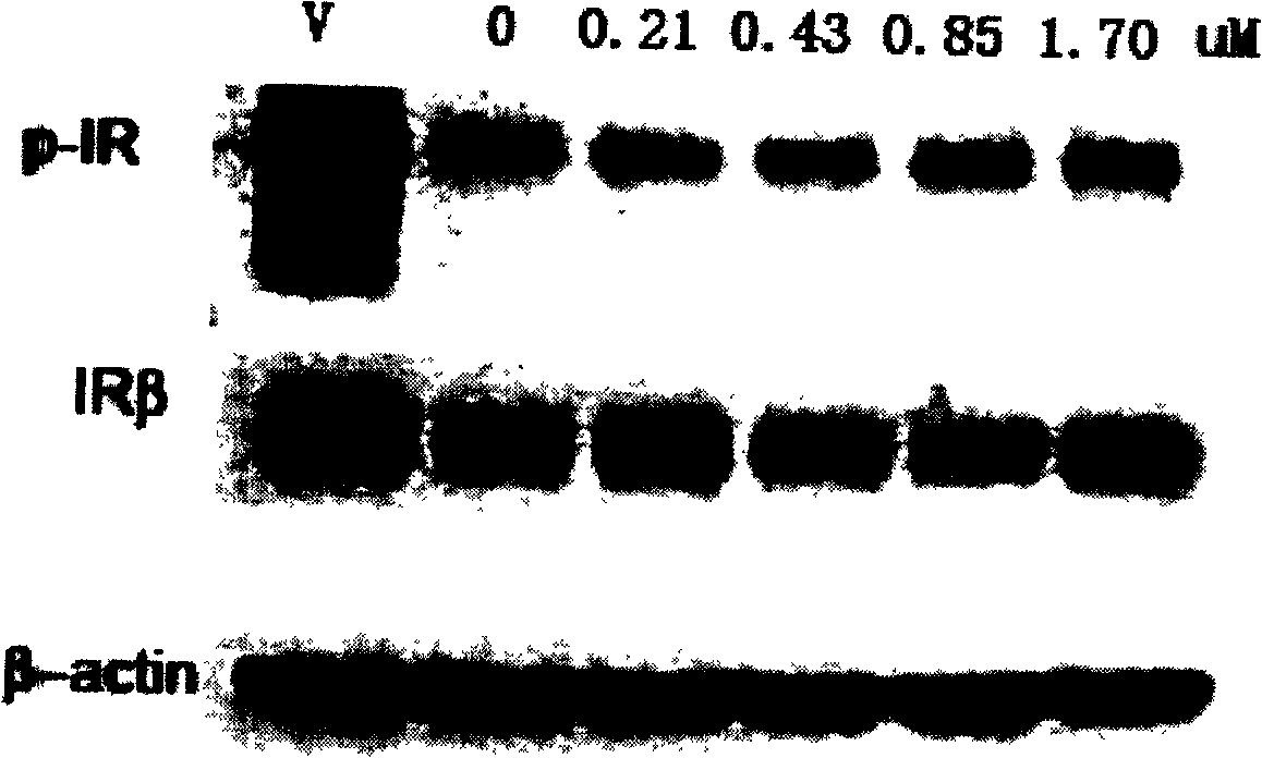 Protein-tyrosine-phosphatase 1B inhibitor and its preparation method and use