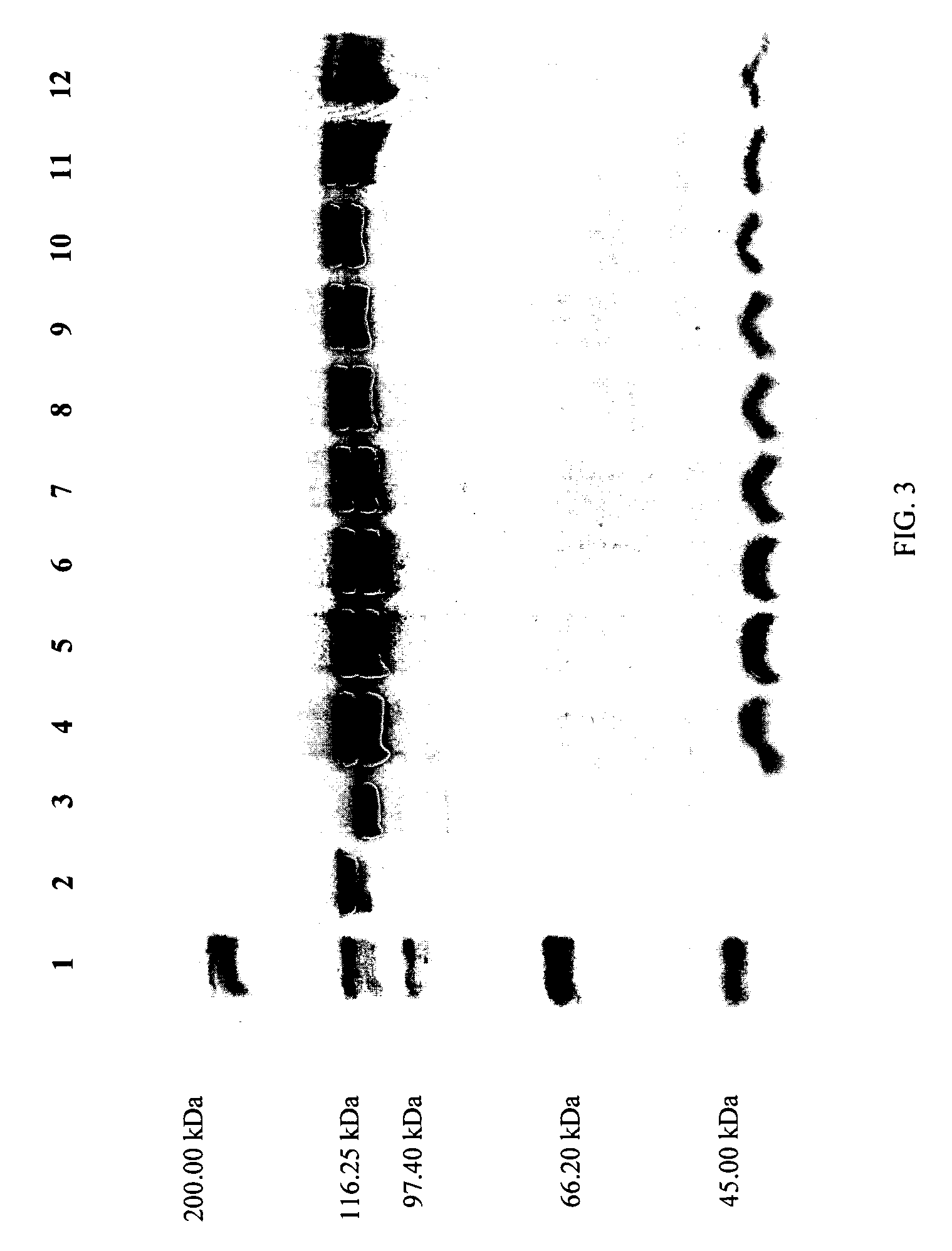 Compositions and methods for treating collagen-mediated diseases