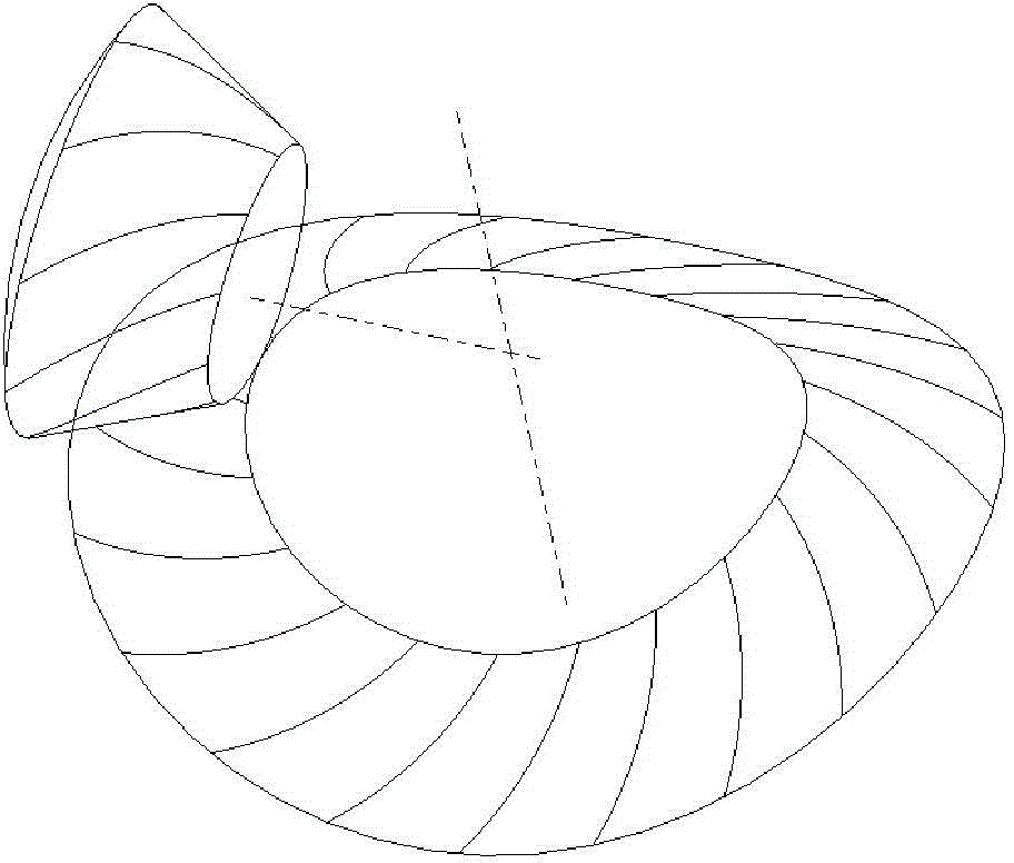 Design method for shrinkage tooth curved-tooth noncircular bevel gear