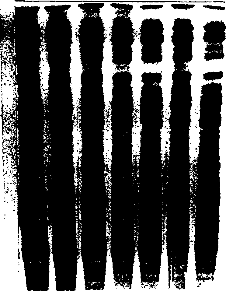 Method of detecting crop seed purity