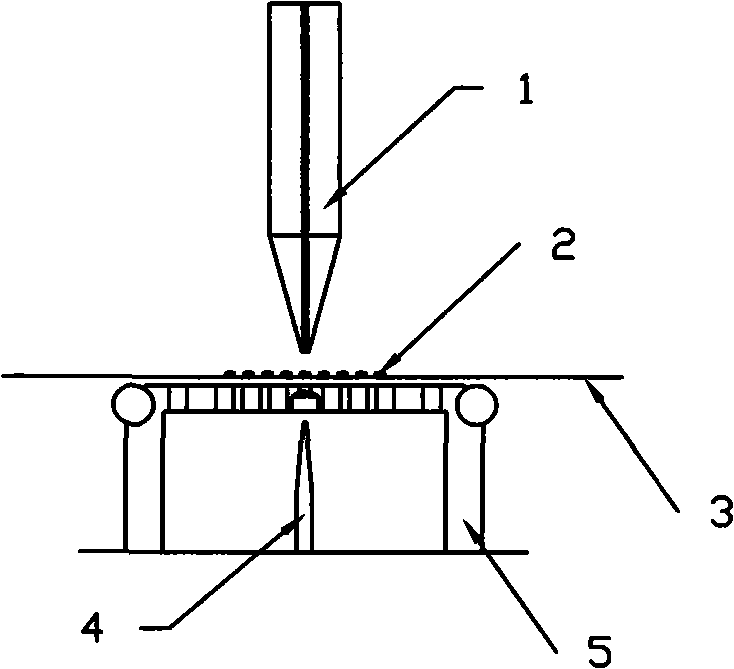 Thimble module and method for separating wafer and blue tape using the module