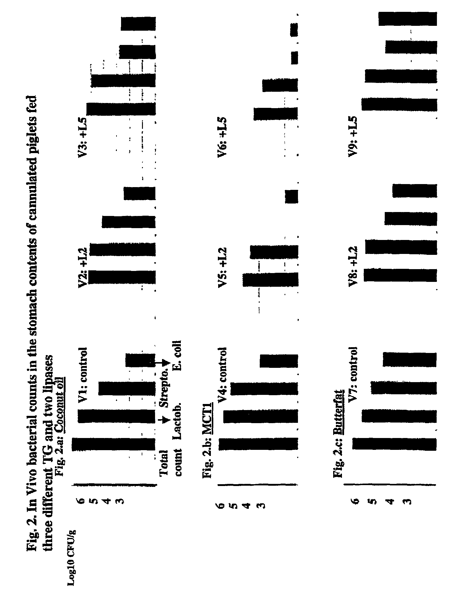 Combined use of triglycerides containing medium chain fatty acids and exogenous lipolytic enzymes as feed supplements