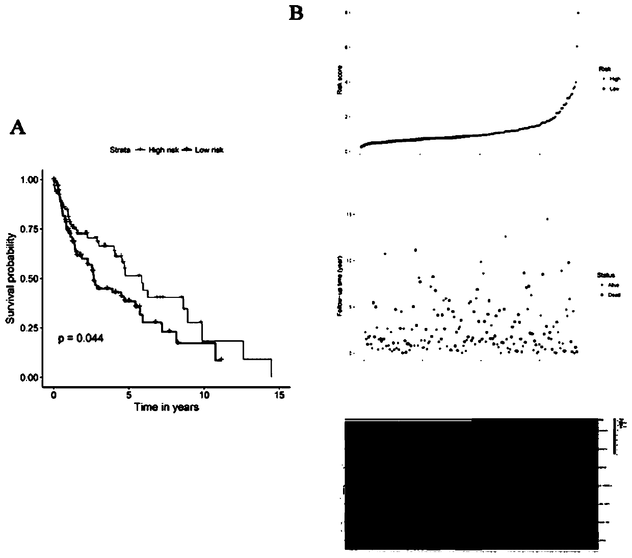 Model for predicting prognosis of lung squamous cell carcinoma with seven genes as biomarkers, and establishing method thereof